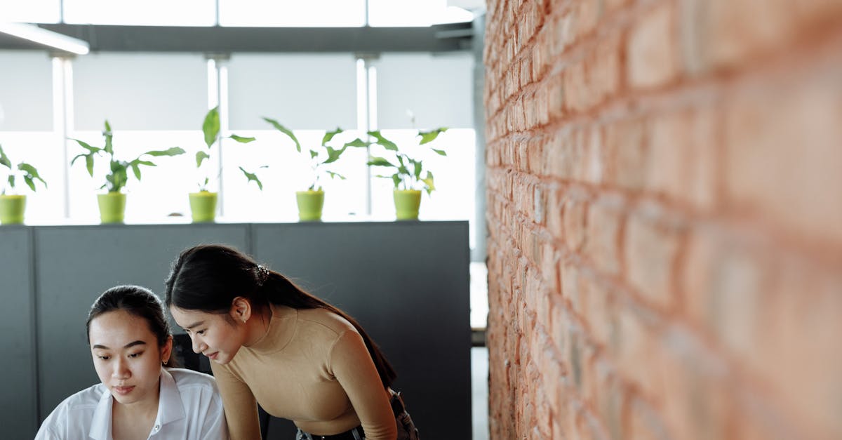 DDOS网页端源码|红娘交友平台代理